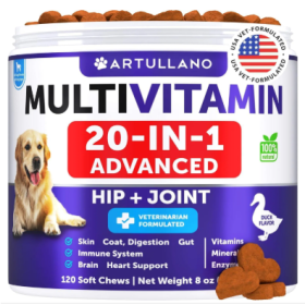 Dog Multivitamin Chewable With Glucosamine 20 In 1 Dog Vitamins And Supplements Senior & Puppy Multivitamin For Dogs Pet Joint Support Health Imm (Option: Artullano)