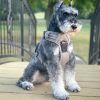 Venture Paw Pull Control Dog Harness