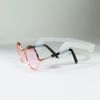 Dog Sunglasses